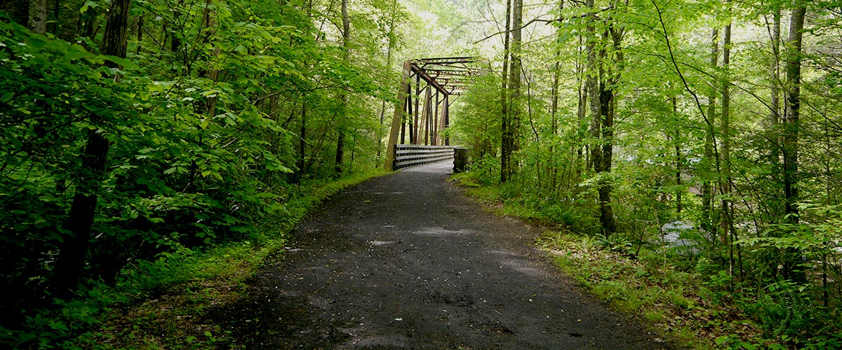The Virginia Creeper Trail