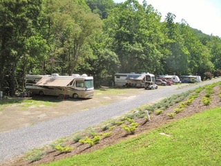 RV sites with landscaping along the gravel road at Laurel Creek RV Park